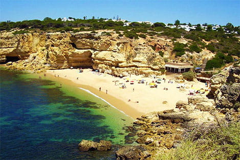 Praia da Coelha Coelha Beach- perfectalgarvetransfers.com - Perfect Algarve Transfers